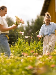 kaksi naista poimii kukkia pellolla